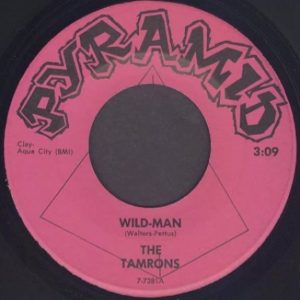 Wild Man / Stop