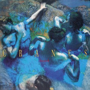 Loved - Colorido