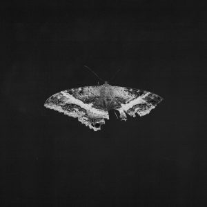 To Pimp A Butterfly (10th Anniversary)